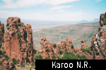 Karoo N.R.