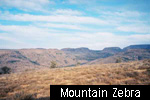 Mountain Zebra N.P.