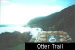 Otter Trail - Tsitsikamma N.P.