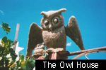 The Owl House