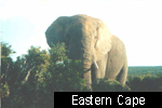 Eastern Cape