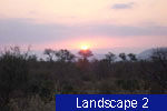 Landscape 2