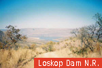 Loskop Dam N.R.