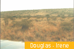 Douglas - Irene
