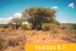Vaalbos N.P.