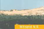 Witsand N.R.