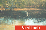 Saint Lucia