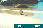 Boulders Beach