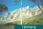 Tafelberg