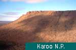 Karoo N.P.