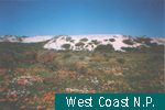West Coast N.P.